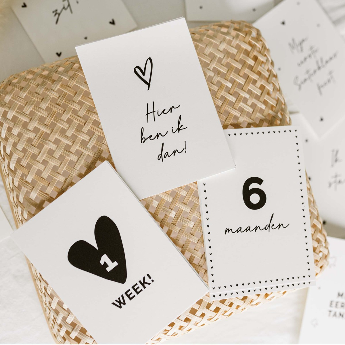 20x hippe baby mijlpaalkaartjes (A6 formaat)
